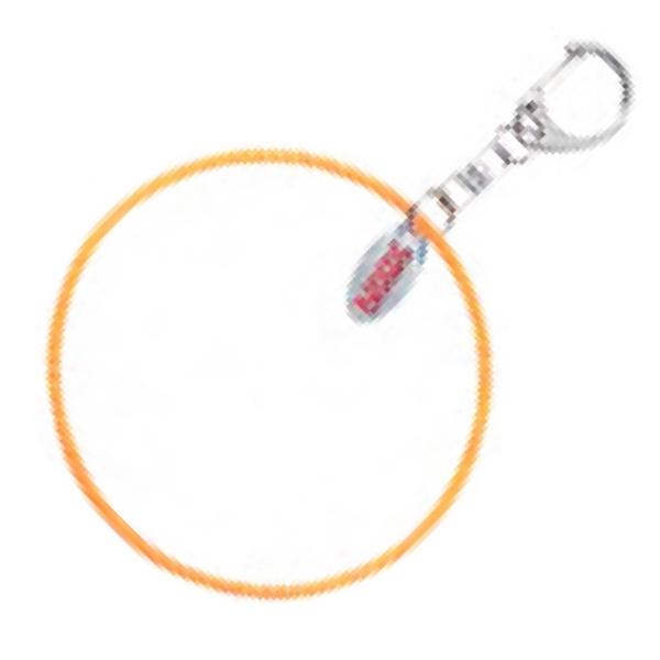 Anhänger Sasaki MS-12 O Mini Key Hoop